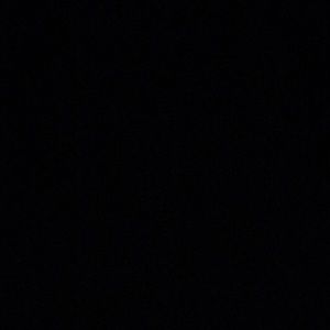 Meet your Posher, Mackenzie